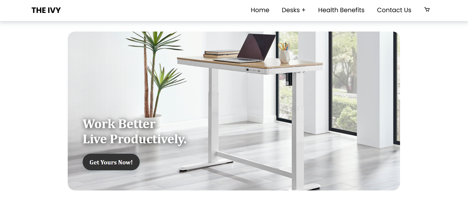 Standing Desks Website